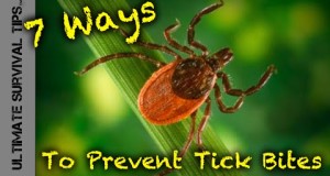 7 Ways to Prevent Tick Bites and Lyme Disease while Camping, Hiking, Fishing or Hunting