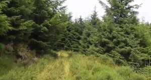 FERNWORTHY FOREST DARTMOOR / HAMMOCK  WILD CAMP ……..