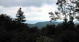 Hammock Camping in the Smoky Mountains:  A five day section hike on the Appalachian Trail