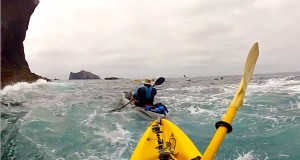 Santa Barbara Island: Kayaking, Camping, Snorkeling, Hiking and Sea Lions