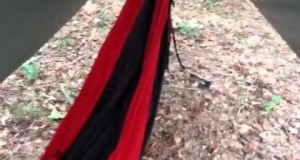 Tent Vs Hammock: Which one should I get