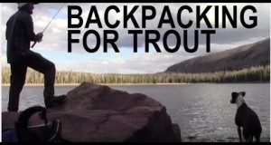 Ultralight Backpacking For Trout / Hammock Camping / Hiking  / Folding Firebox Nano Stove
