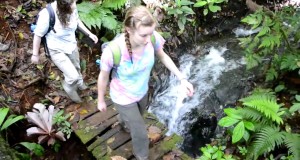 Costa Rica Field Course Videos: Hiking out of the Rain Forest