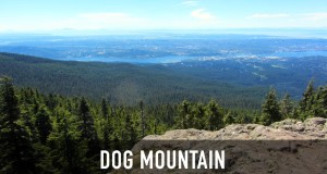 Dog Mountain Hiking Trail in North Vancouver