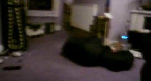 Funny video – Sleeping bag