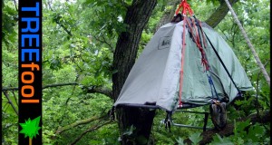 Tree Camping on a Suspended Tent